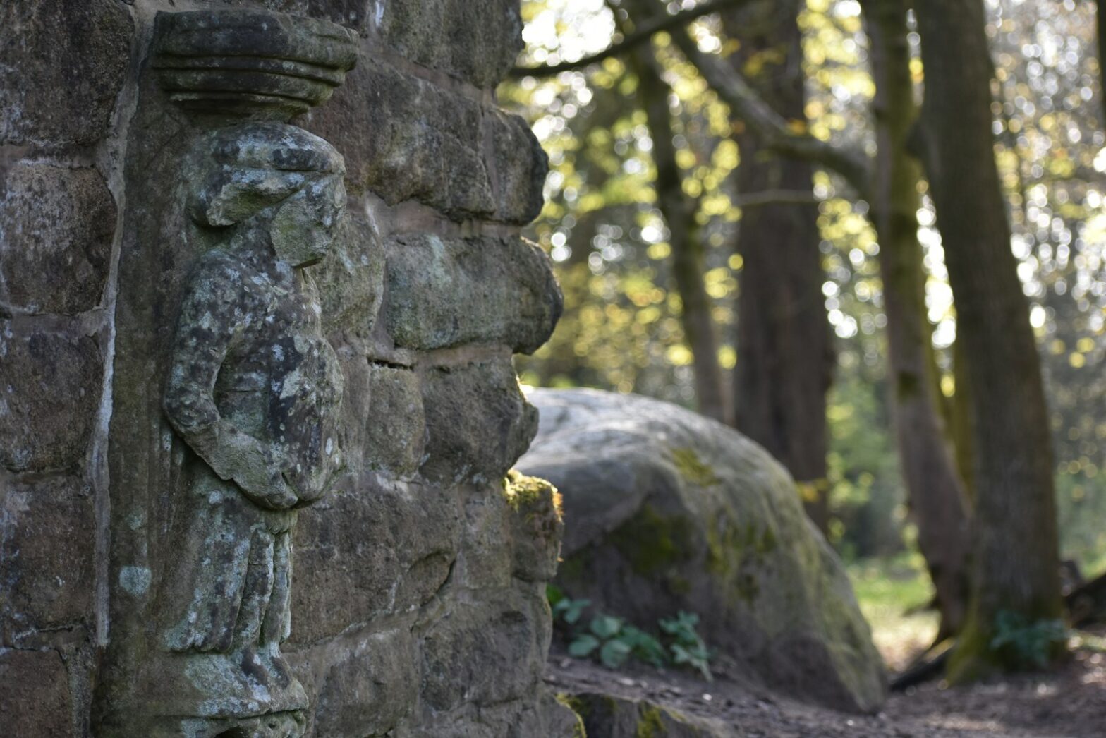 a stone wall in the middle of a forest